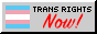 88x31 button containing the transgender flag that reads 'TRANS RIGHTS NOW!'.