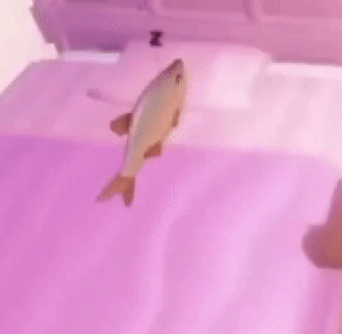 Animated gif of a fish sleeping in a pink bed.