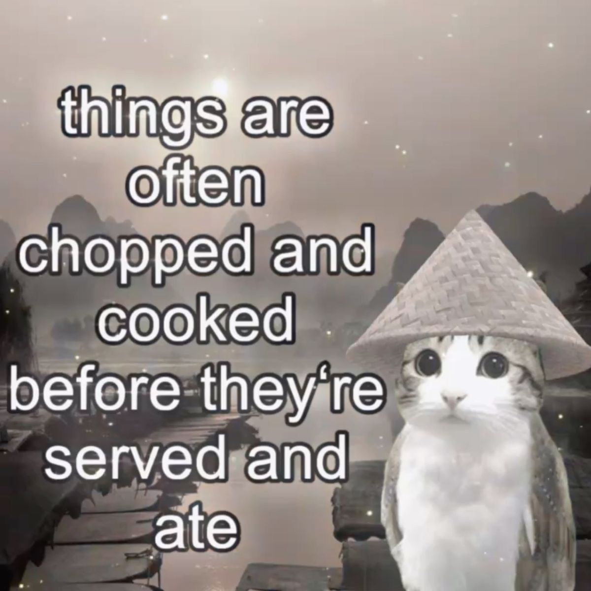 A cat wearing an Asian conical hat with text that reads 'things are often chopped and cooked before they're served and ate'.